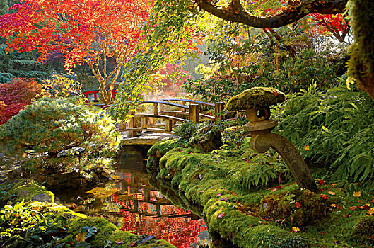 日本,石灯笼,河流,桥,秋色,日式庭园,宝翠花园,温哥华岛,不列颠哥伦比亚省,加拿大