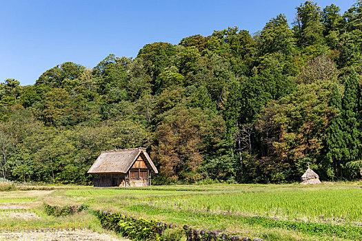 白川乡,历史,老,乡村