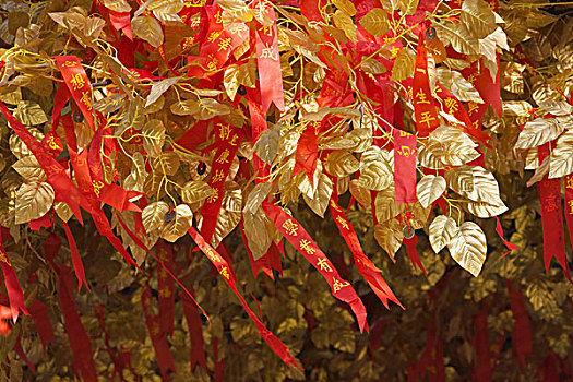 树,装饰,红色,带,金色,叶子,南京,江苏,中国