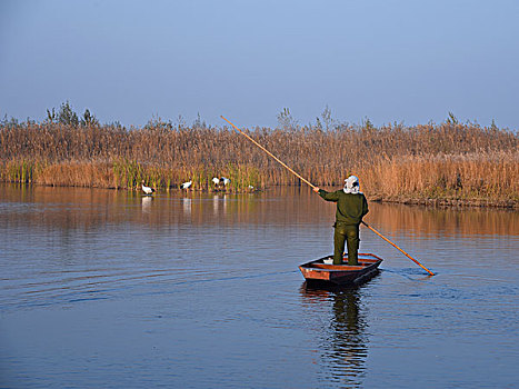 扎龙湿地