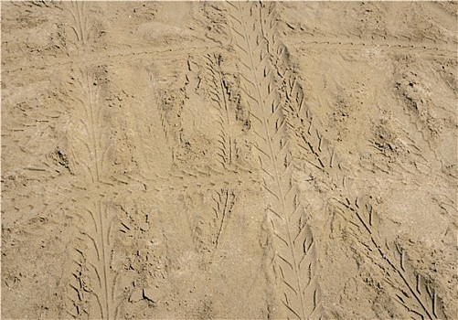 沙子,轮胎,轨迹,背景