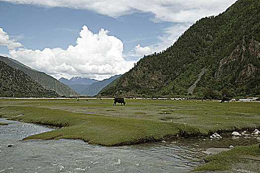 西藏-自然风光