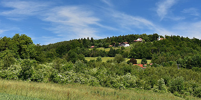 巴伐利亚森林,自然公园