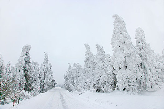 重庆武隆仙女山雪景