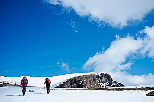 两个男人,远足,雪中,山,特兰西瓦尼亚,罗马尼亚