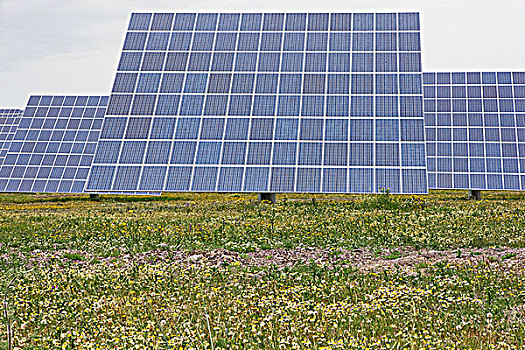 太阳能电池板,草地