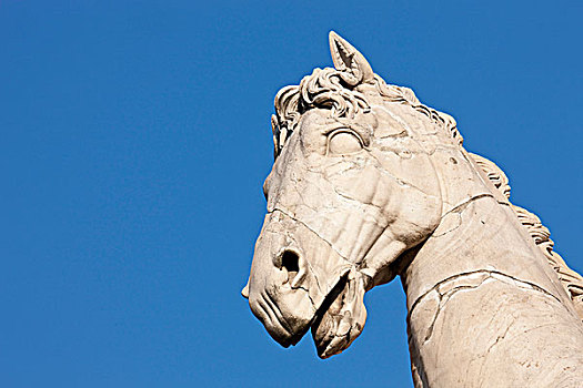 马,头部,古老,雕塑,广场,坎皮多利奥,罗马,意大利,欧洲