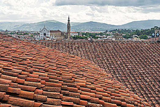 佛罗伦萨,屋顶,砖,大教堂