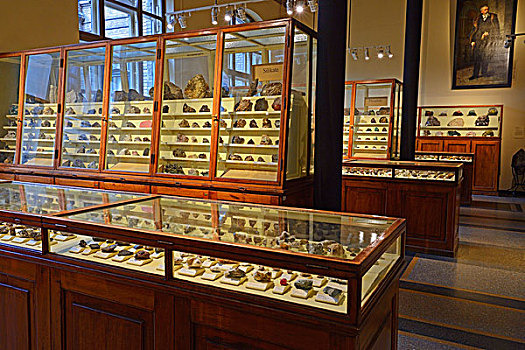多样,矿物质,玻璃,柜子,自然历史博物馆,柏林,德国,欧洲