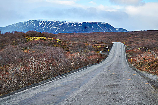 冰岛,金色,圆,道路,国家公园,西南方