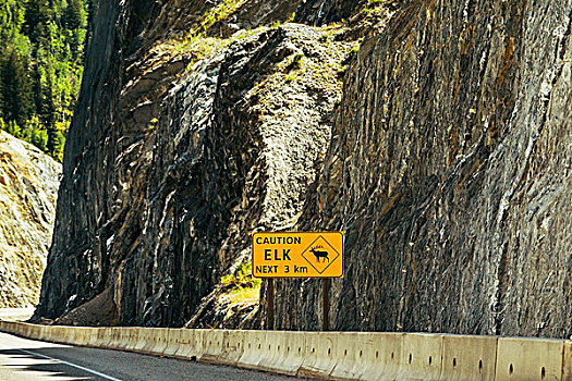 标识,麋鹿,公路,落基山脉,金色,不列颠哥伦比亚省,加拿大