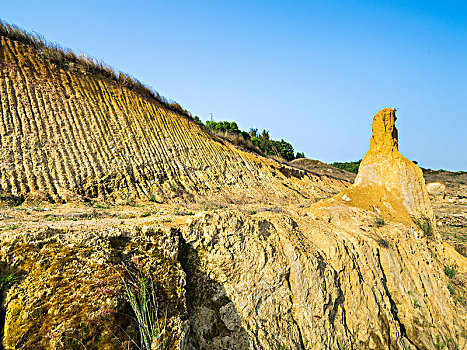 开发中的建设用地