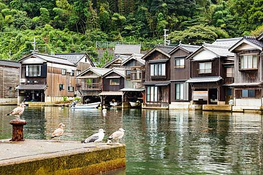 海边,城镇,京都