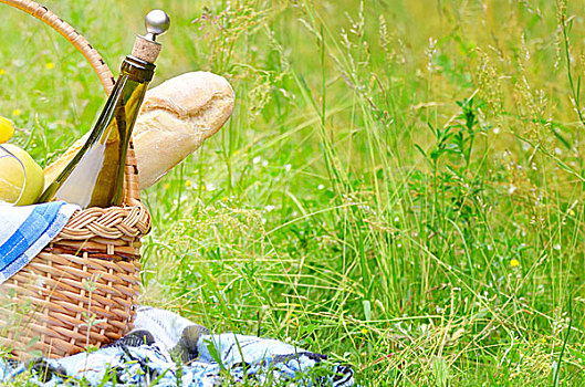 野餐篮,水果,葡萄酒,面包,草地,毯子,旁白