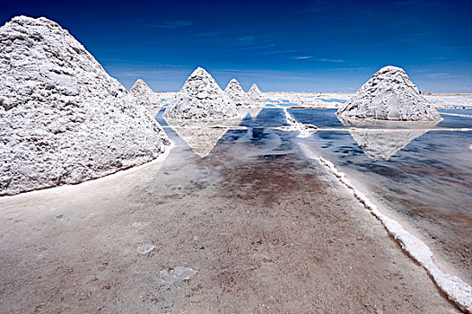 盐,开采,盐湖,乌尤尼,玻利维亚,南美