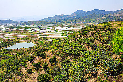 湿地,滩涂,养殖基地,海塘