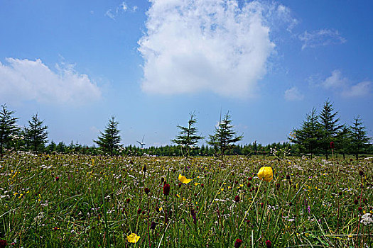 阿尔山