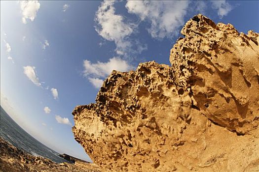 石灰石,靠近,富埃特文图拉岛,加纳利群岛