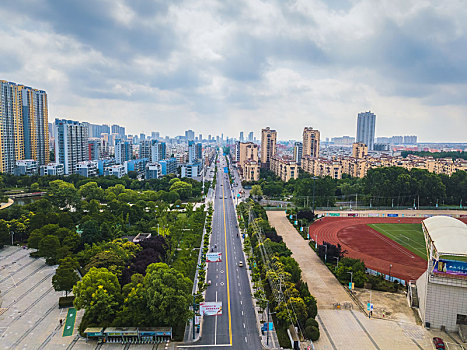 城市道路