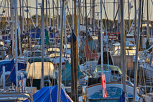 帆船,码头,橡树湾,温哥华岛,不列颠哥伦比亚省,加拿大