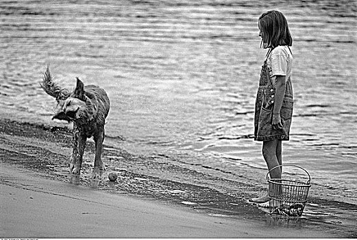 女孩,狗,海滩