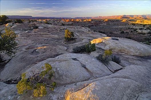 石头,高原,峡谷地国家公园,犹他,美国