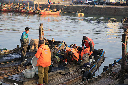山东省日照市,清晨六点的渔码头繁忙有序,渔民趁着满潮准备出海捕鱼