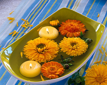 金盏花,花,浮水蜡烛,碗