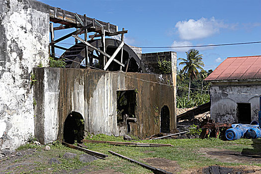 农业,建筑,格林纳达,西印度群岛