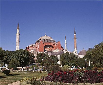 塔,树,公园,伊斯坦布尔,土耳其,欧洲