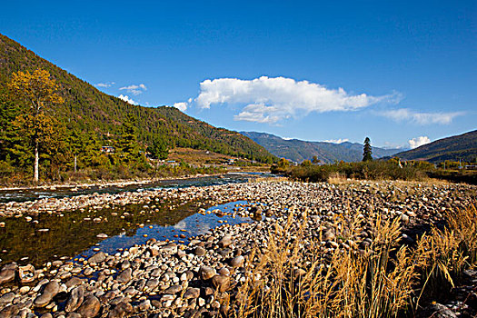 风景,河,不丹