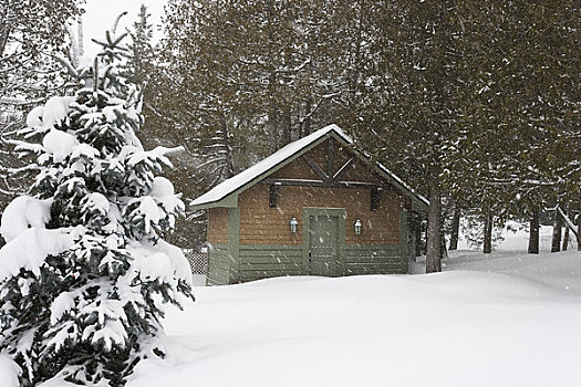 郊区住宅,小屋,暴风雪