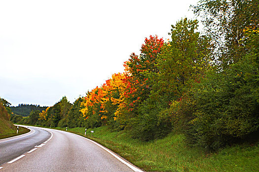 欧洲公路