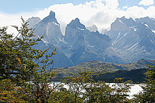 树,山脉,背景,托雷德裴恩国家公园,巴塔哥尼亚,智利