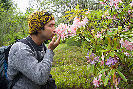 一个,男人,粉色,杜鹃属植物,美洲狮,花园,船,温哥华岛,不列颠哥伦比亚省,加拿大