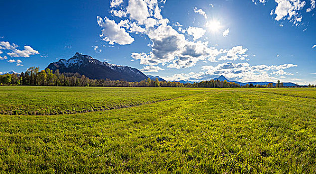 草地,正面,贝希特斯加登阿尔卑斯山,萨尔茨堡,奥地利