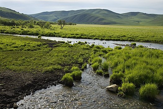 河,生态,保存,内蒙古,中国