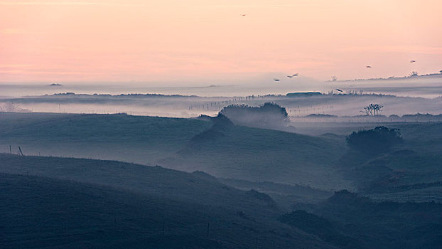 早晨,雾气,上方,边远地区,海岸,靠近,桑坦德,坎塔布里亚,西班牙