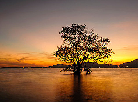 海景,日落,普吉岛,泰国