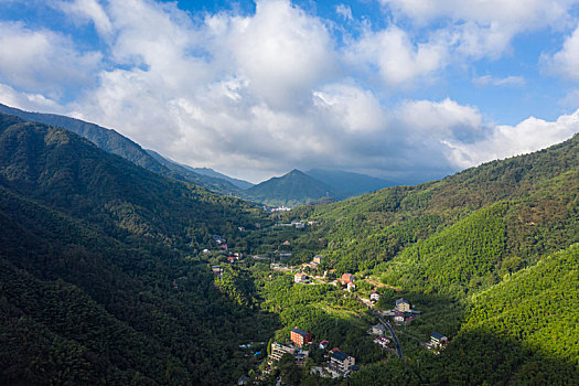 航拍茶园全景