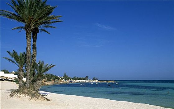 海滩,医学,突尼斯,非洲