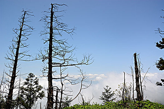 江西武功山