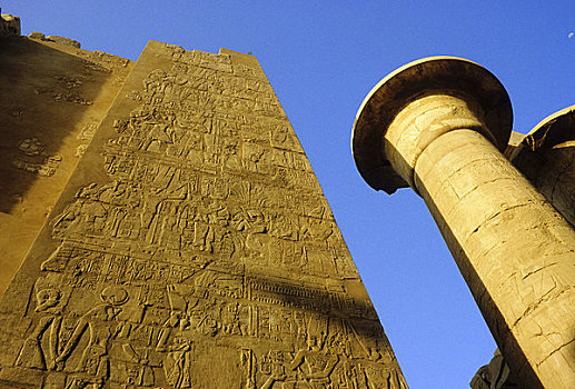 埃及,路克索神庙,卡尔纳克神庙,古埃及,象形文字