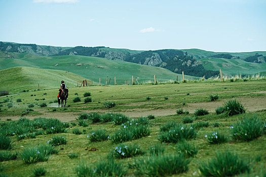 山丹军马场骑马