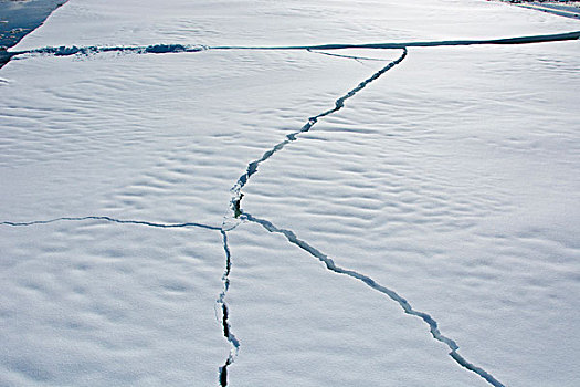 南极,靠近,阿德莱德,岛屿,缝隙,冰