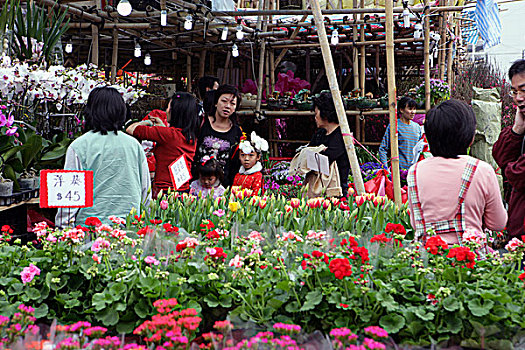 春节,花市,铜锣湾,香港