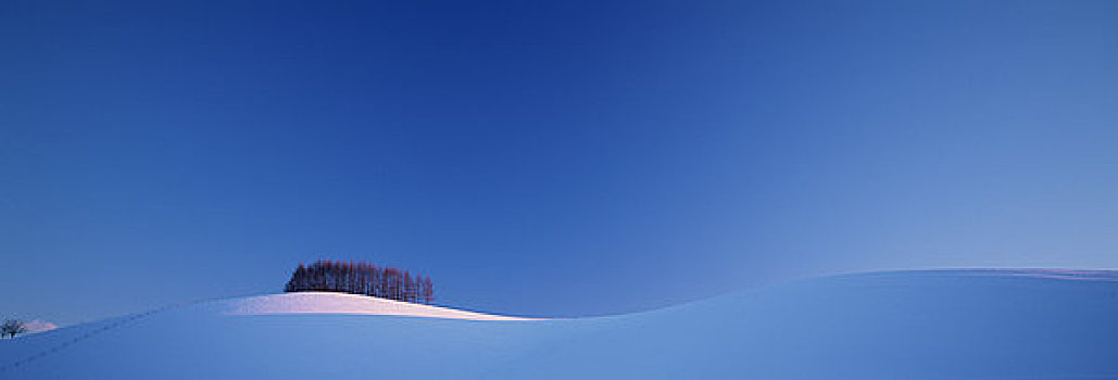 雪地,影子