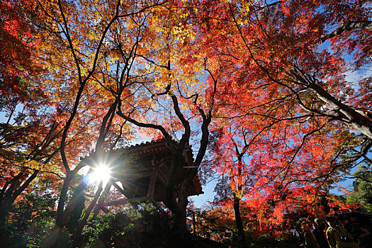 日本京都岚山常寂光寺