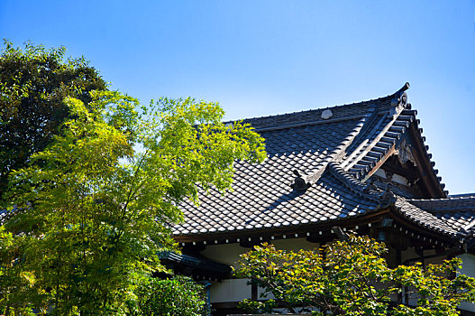 日本东京,上野公园著名佛寺,修禅院佛寺