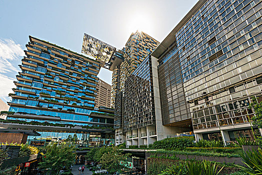 绿色,高层建筑,植物,建筑,生态,绿色生活,一个,中央公园,塔,悉尼,澳大利亚,大洋洲